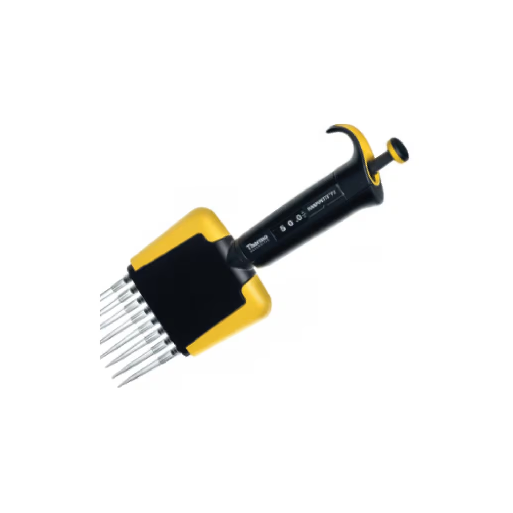 Product main image - 05289460-fe6f-4f6d-9b28-1bbd2b10a6f7