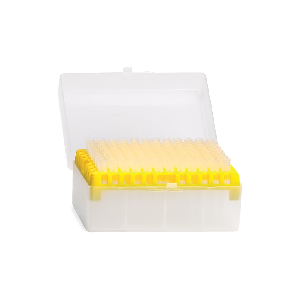 Product main image - f8539a65-0226-45fb-bdb5-3ece9be7e6b8